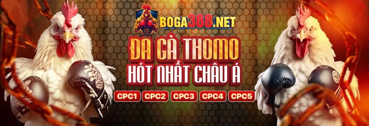 Cờ bạc có trách nhiệm momo game