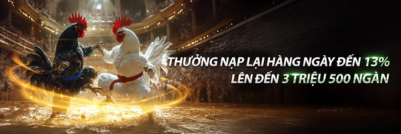 Đá gà trực tuyến kịch tính tại momo game